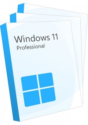 Windows 11 Professional (3 keys)