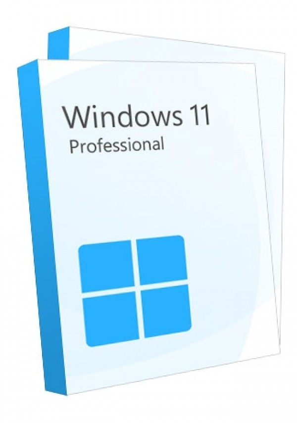 Windows 11 Professional (2 keys)